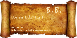 Borza Bálint névjegykártya